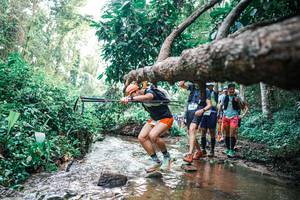 BIB: 
                            <button type="button" onclick="openModal(25371955)" class="btn btn-primary btn-sm float-right btn-popup" data-toggle="modal" data-target=".modal-high-quality">
                        <i class="fas fa-shopping-cart"></i> Add to Cart
                    </button>
                                            <button type="button" onclick="isThisMe(25371955, true)" class="btn btn-success btn-sm float-right btn-popup btn-isme hidden" data-toggle="tooltip" data-placement="bottom" title="นี่คือรูปของคุณใช่ไหม คลิกที่นี่เพื่อเอาเข้าอัลบั้ม">
                        <i class="fas fa-plus"></i> Add to album
                    </button>
                    <button type="button" onclick="isThisMe(25371955, false)" class="btn btn-warning btn-sm float-right btn-popup btn-isnotme hidden">
                        <i class="fas fa-ban"></i> Remove from album
                    </button>